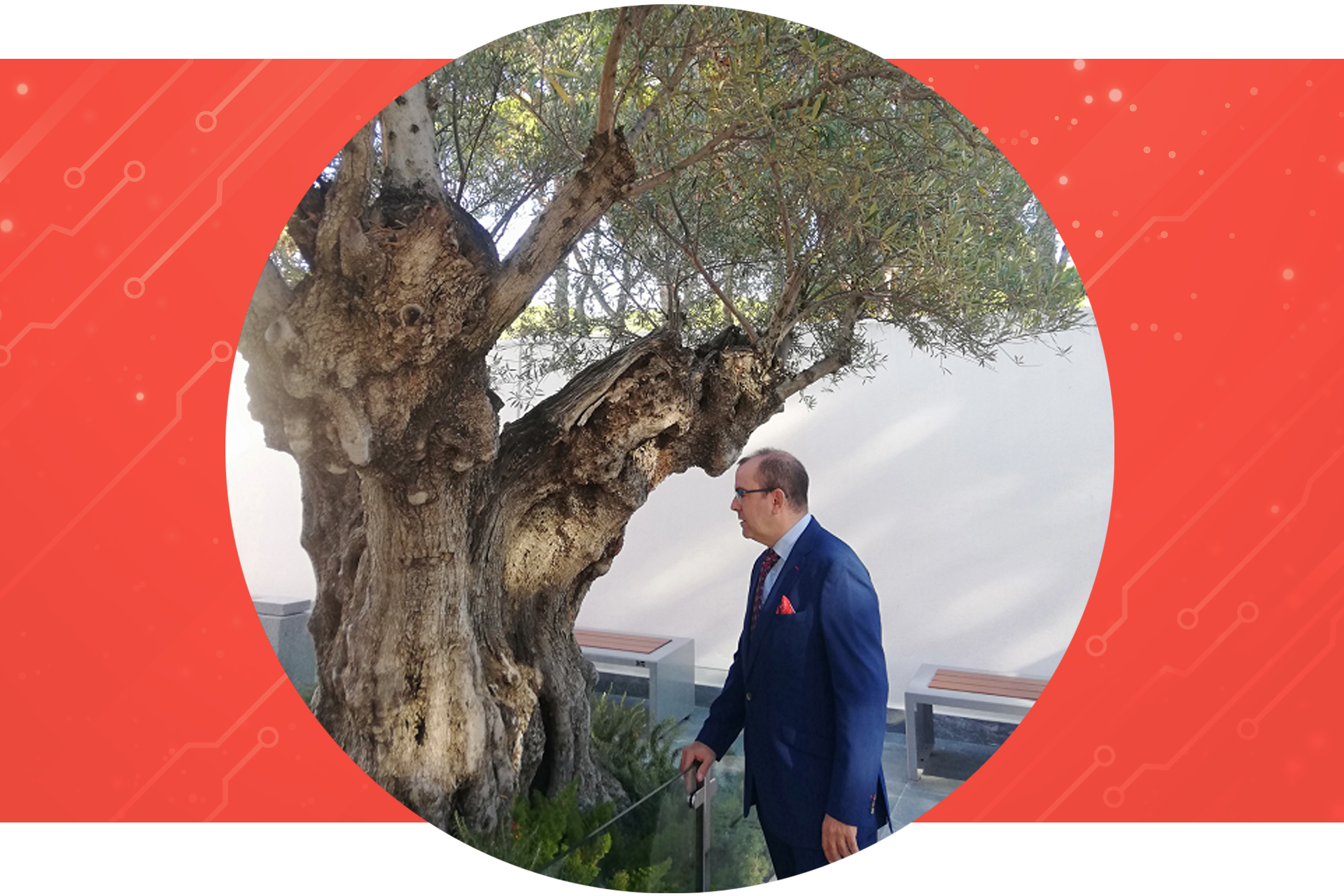 Perito inform&aacute;tico